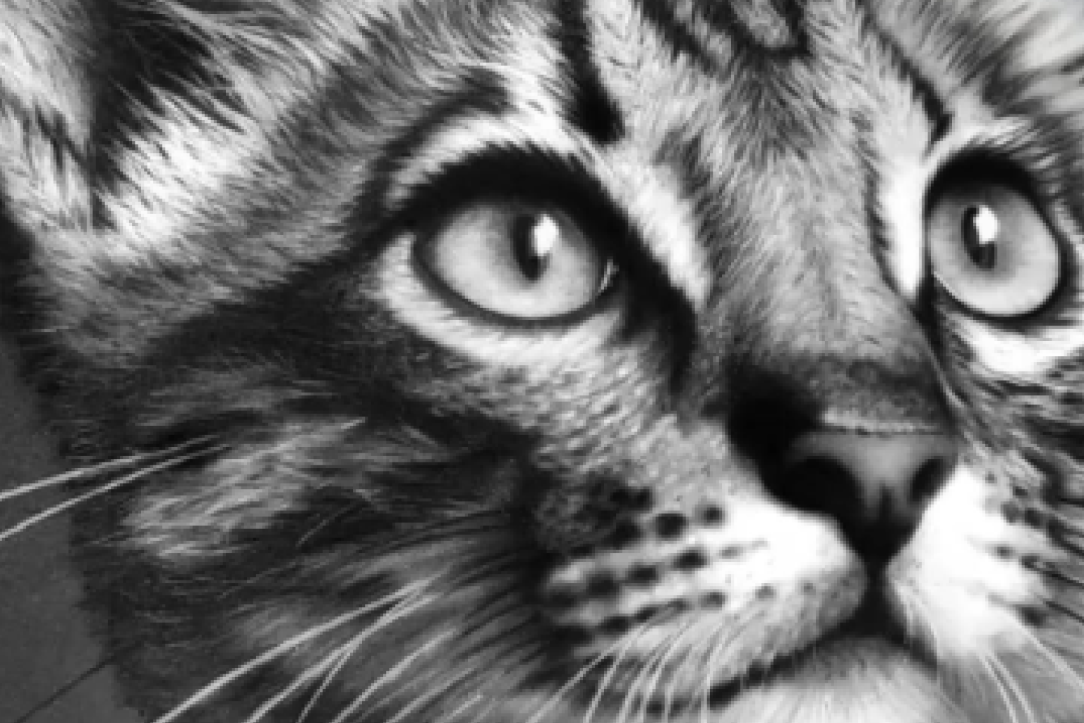 Art & Portrait Mastery Program (15+) - Charcoal (Beginner)
